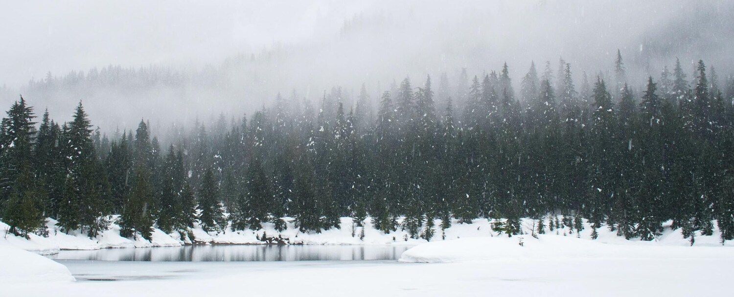 The Rosseau Muskoka by JW Marriott muskoka winter snowing outside with forest (2)