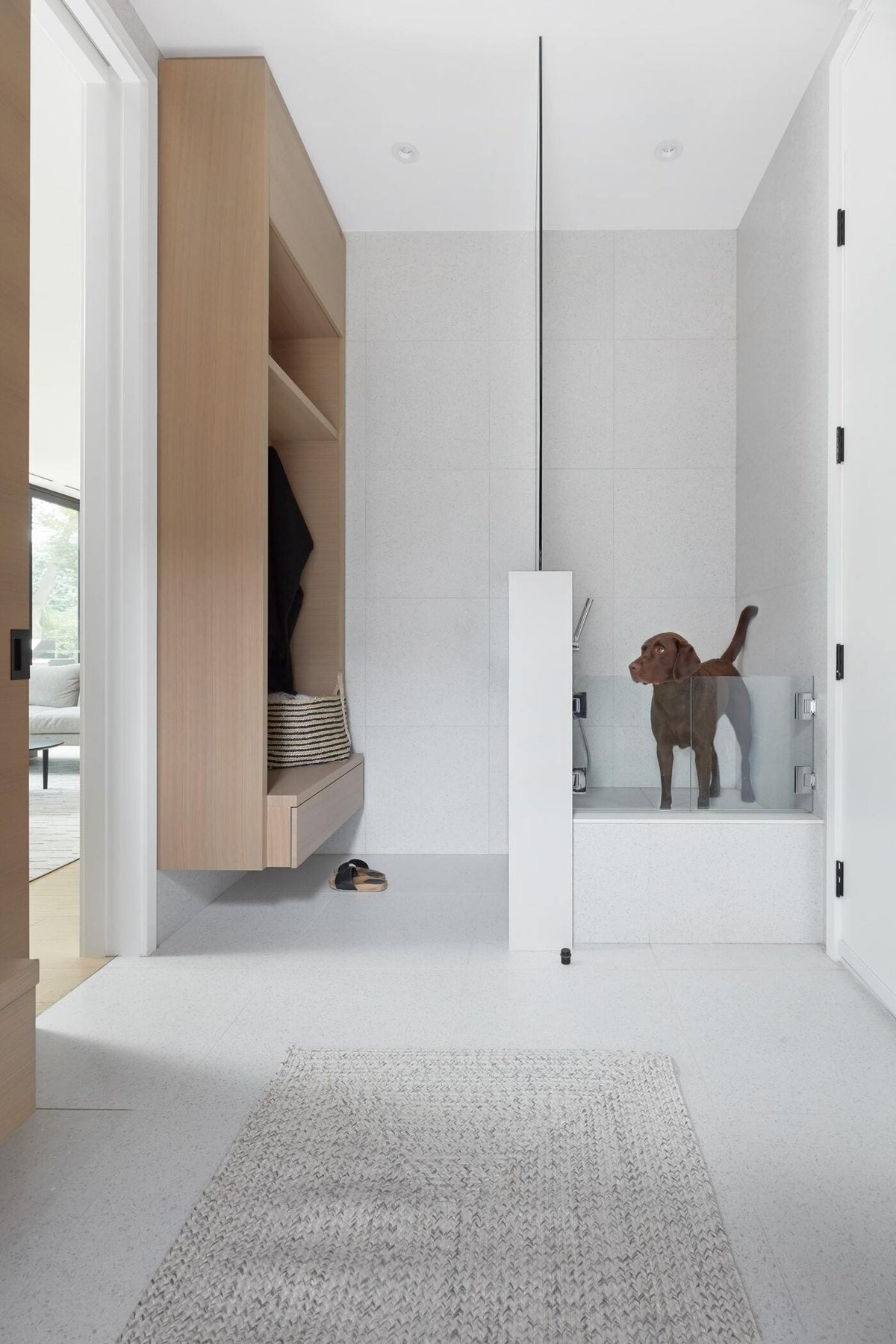 custom modern mudroom with dog shower and golden doodle