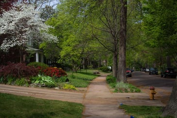 lytton park neighbourhood with trees and street