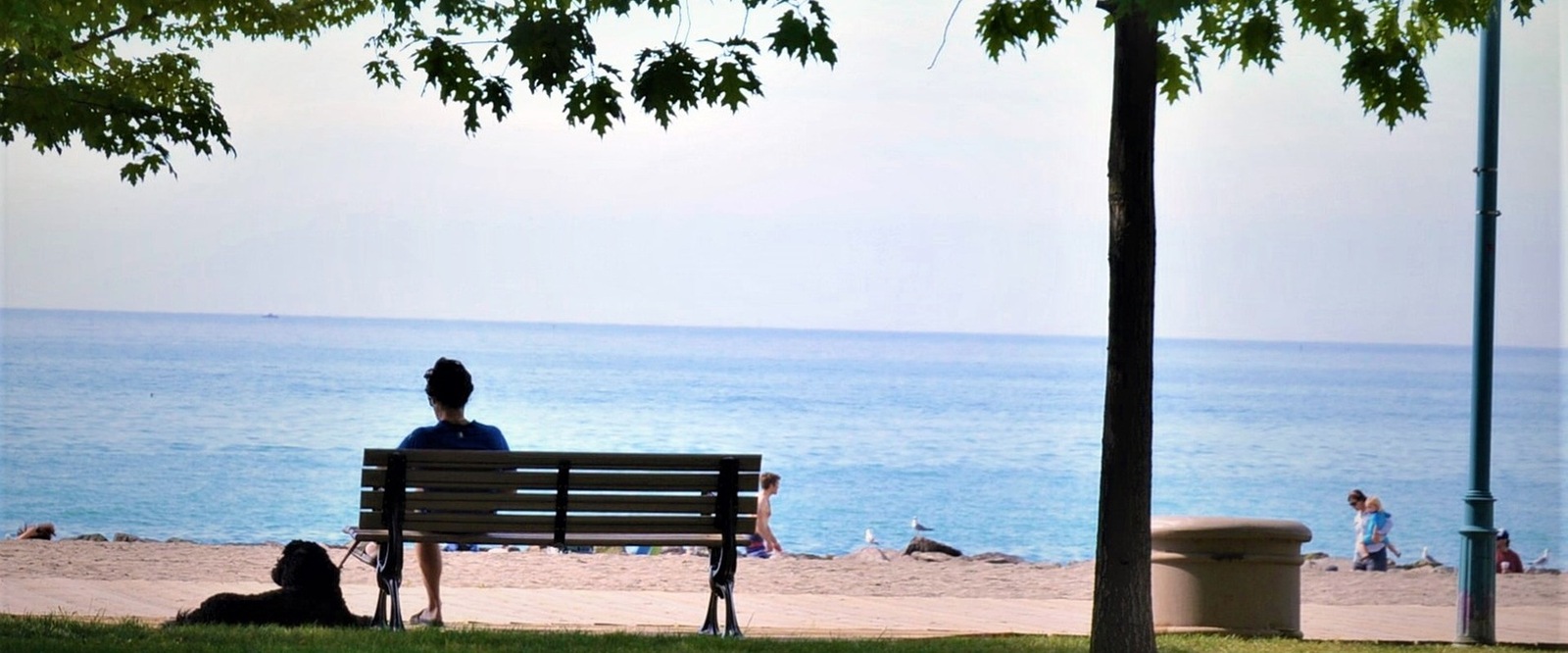 man sitting on park bench with dog outside the beach in the beaches in toronto (1)