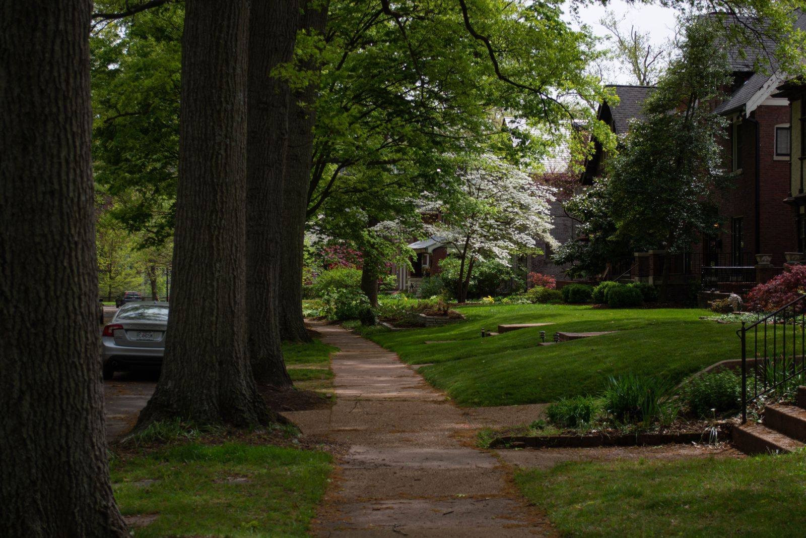 sidewalk and beautiful green grass with trees over hanging the neighbourhood of rosedale in toronto (1)